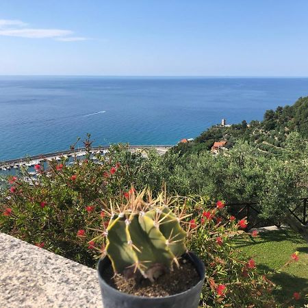 Villa Degli Ulivi B&B Finale Ligure Εξωτερικό φωτογραφία