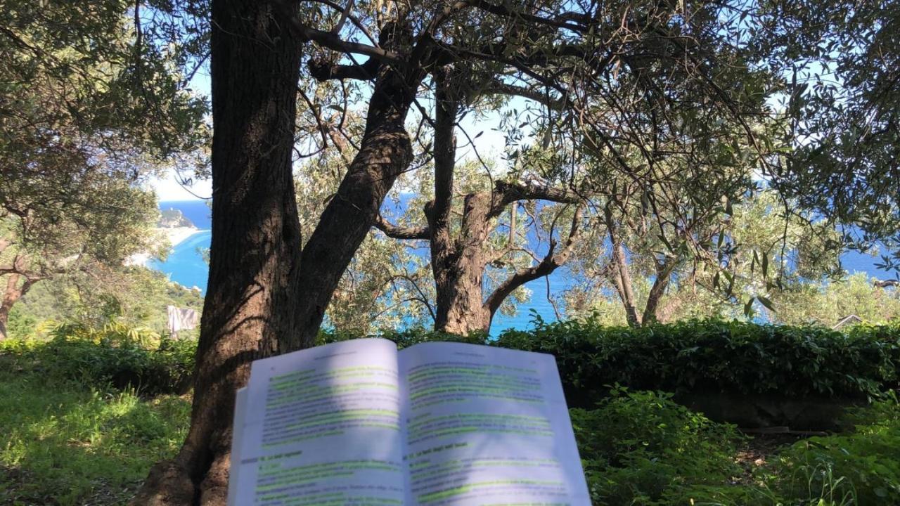 Villa Degli Ulivi B&B Finale Ligure Εξωτερικό φωτογραφία