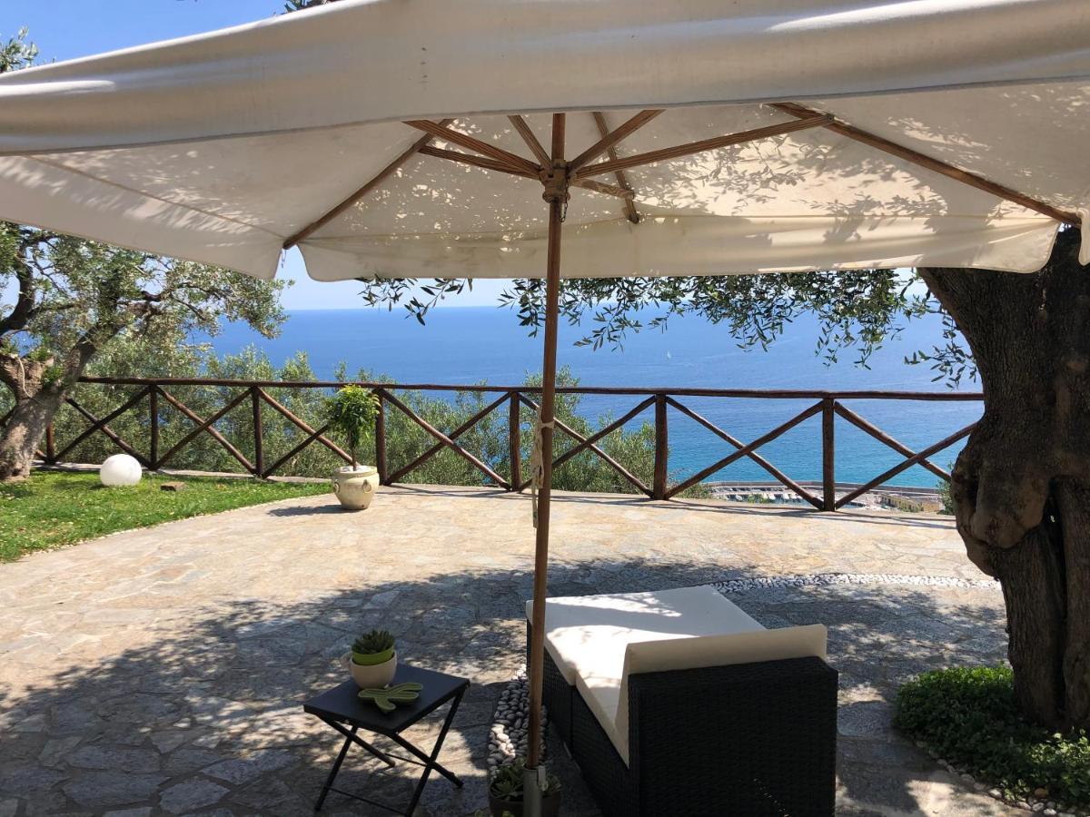 Villa Degli Ulivi B&B Finale Ligure Εξωτερικό φωτογραφία